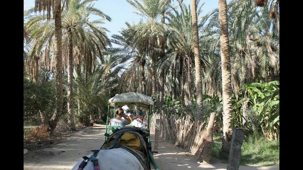 Dar Ezzahra Villa Tozeur Eksteriør bilde